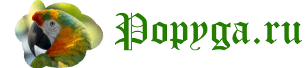 Попугаи